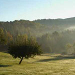 W. Ford: Vermont Hills Morning