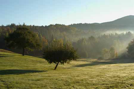 W. Ford: Vermont Hills Morning