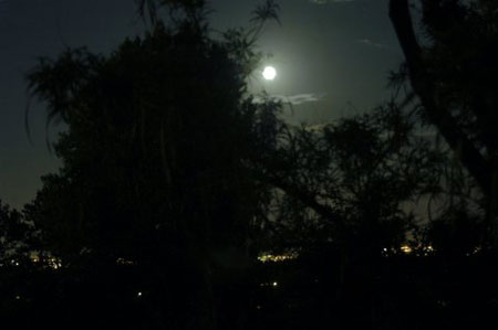 Moonrise over Albuquerque